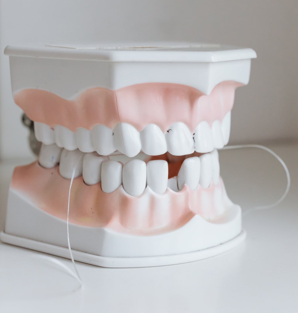 Dentist Wordpress Theme